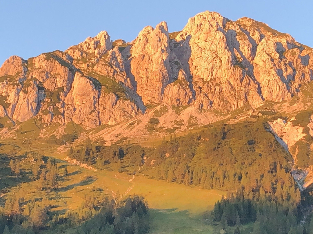 Alpenhotel Plattner主图