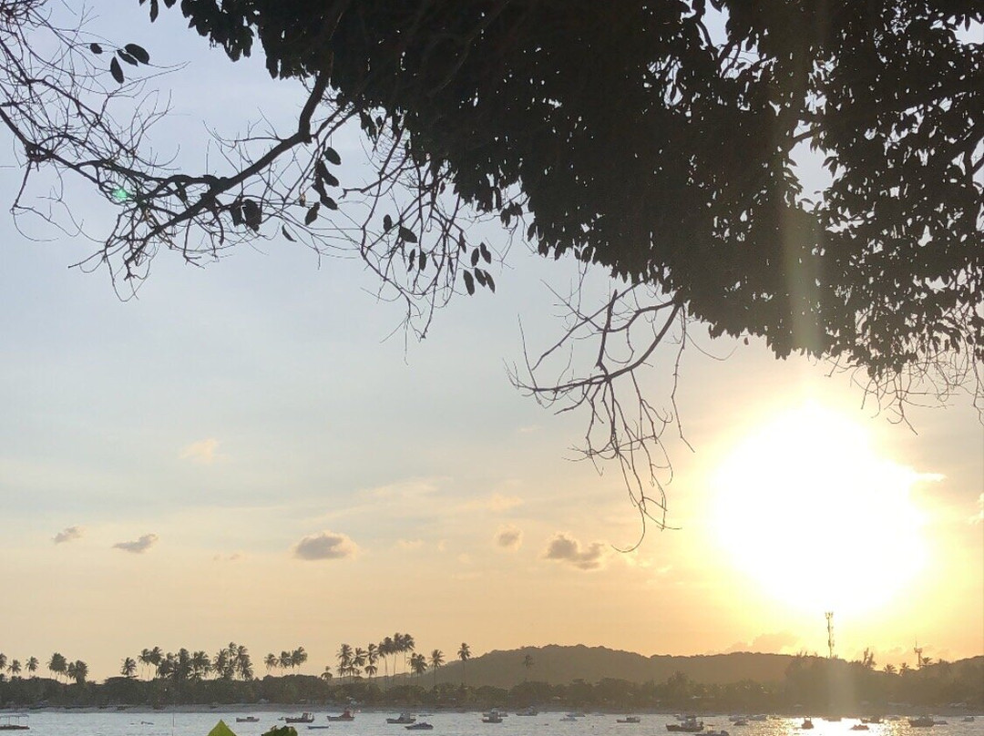 Paraiso Beach(da Preguica)景点图片