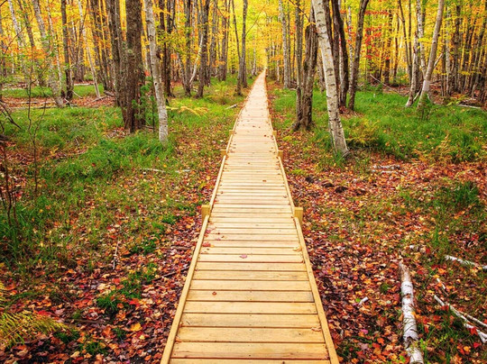 Travel With Action-巴港必去景点