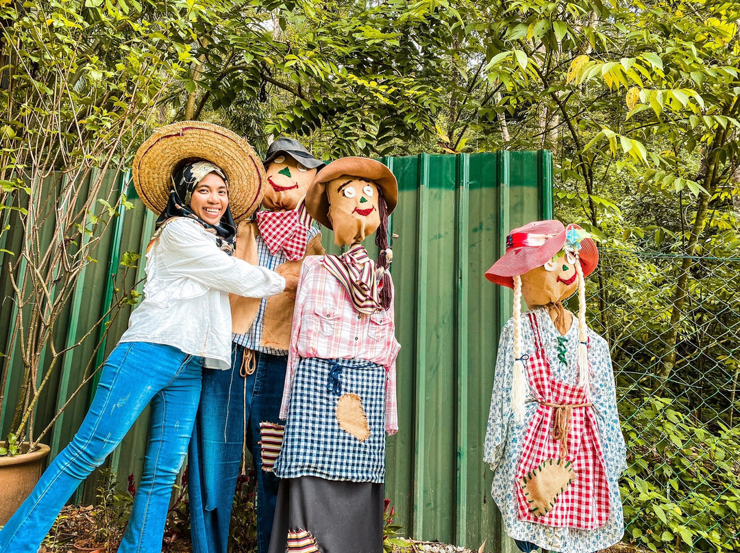 Garden Farms By Radiant-武吉丁宜高原必去景点