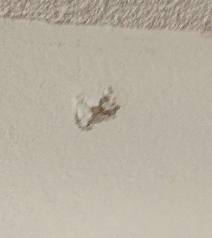 The Grove At Pismo Beach主图