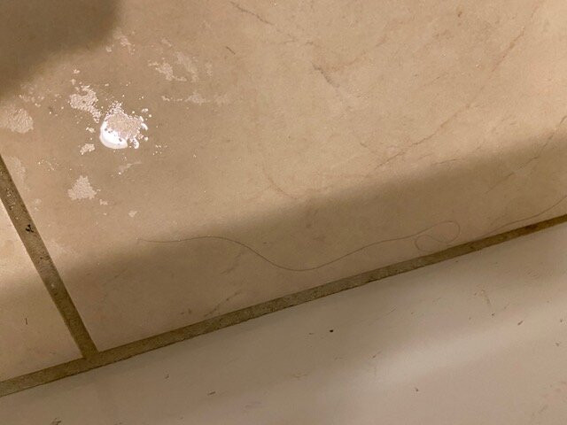 Courtyard by Marriott Norman主图