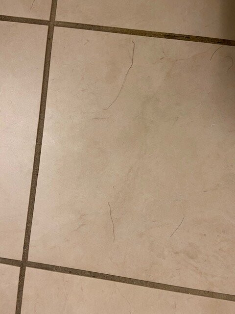 Courtyard by Marriott Norman主图