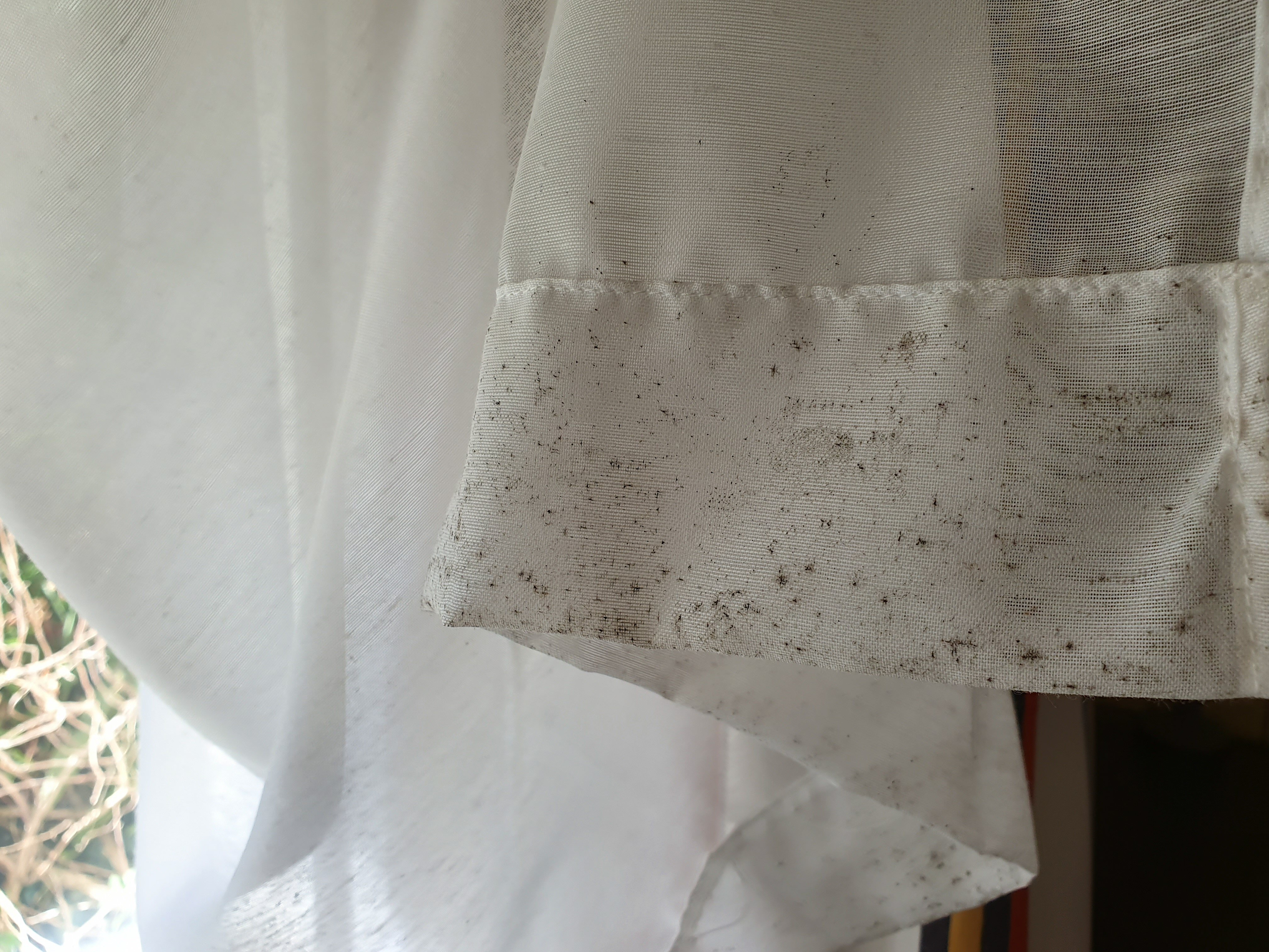 Belambra Clubs - Le Castel Sainte Anne-餐饮