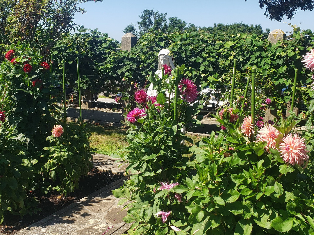 Enders Island-Stonington必去景点