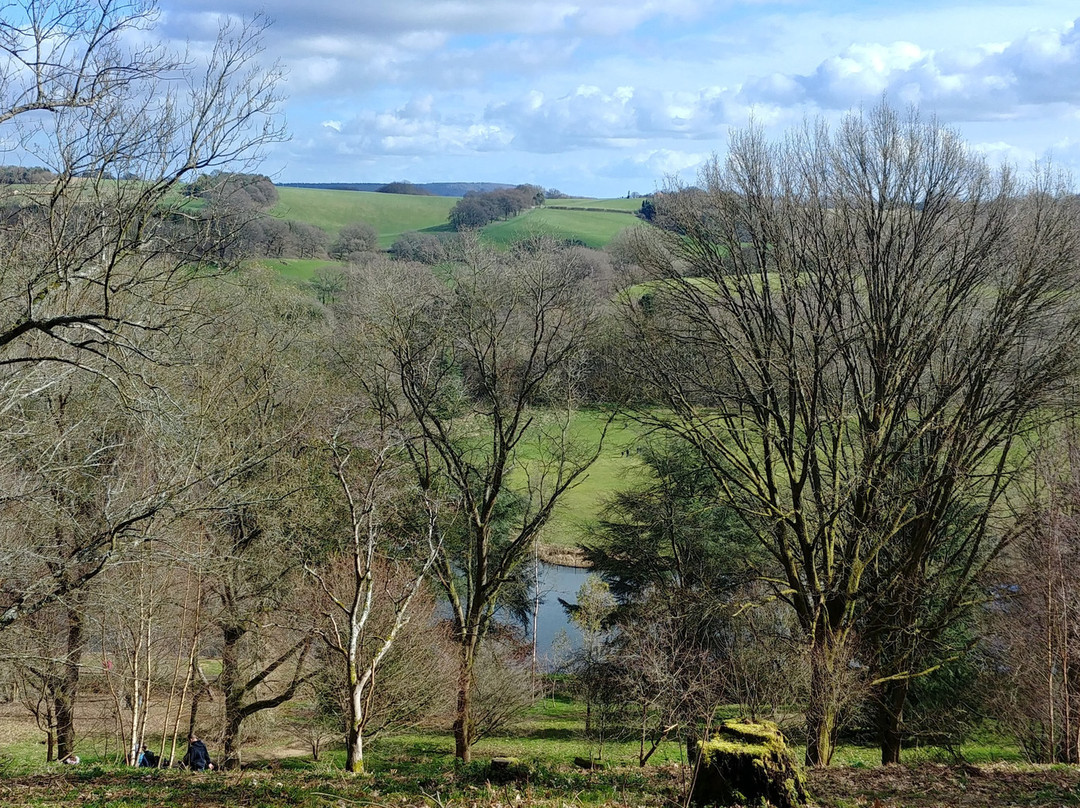 Winkworth Arboretum景点图片