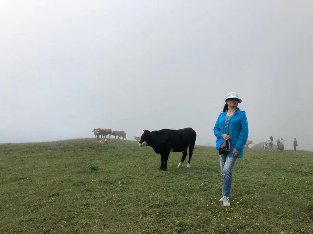 六盘水乌蒙山国家地质公园景点图片