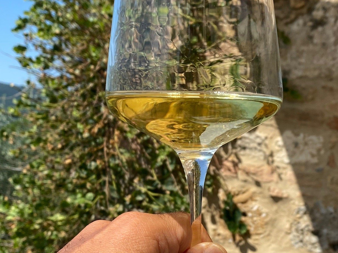 Vernaccia di San Gimignano Wine Experience - La Rocca-圣吉米尼亚诺必去景点