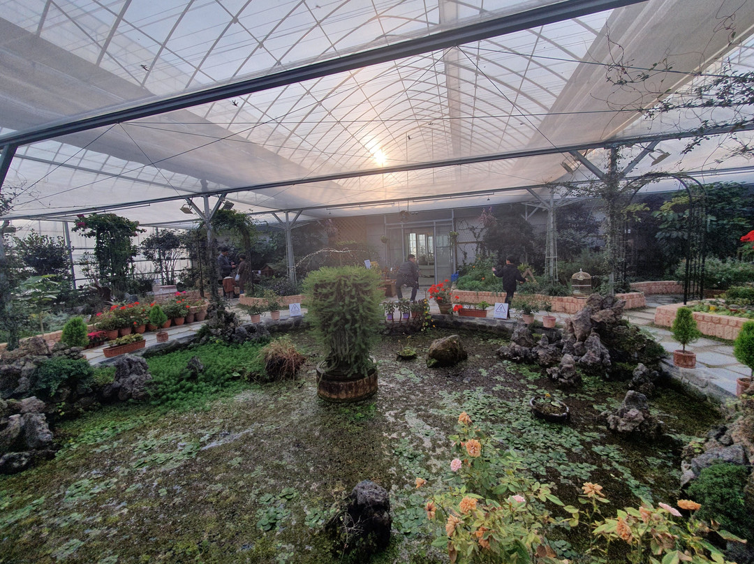 Yongin Gonchung Theme Park-龙仁市必去景点