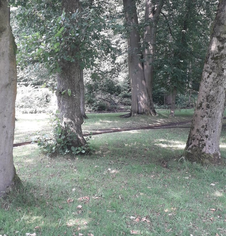 Thompson Park-伯恩利必去景点