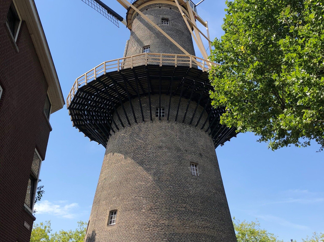 Schiedam Windmills景点图片