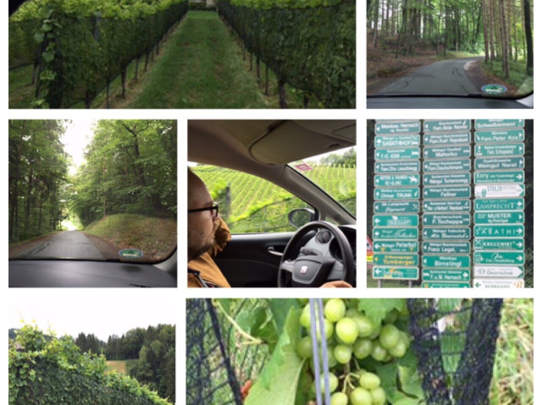 Weingut Masser-洛伊查赫必去景点