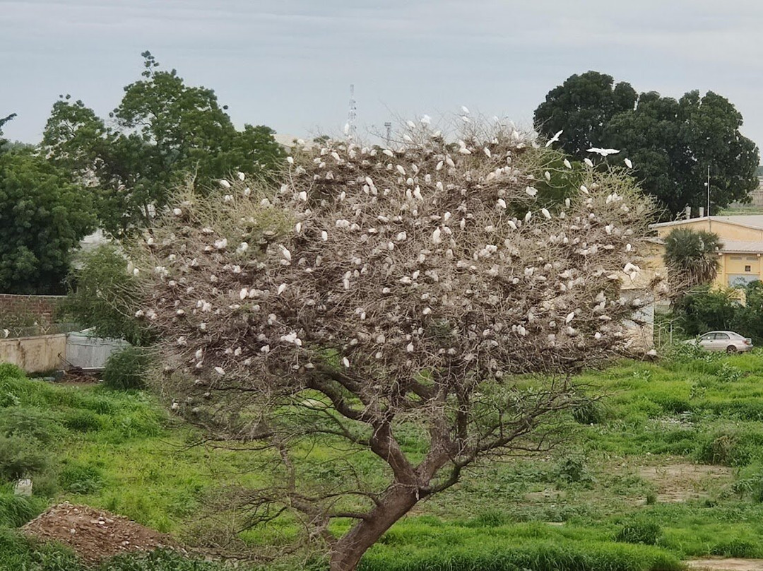 La Residence Hotel主图