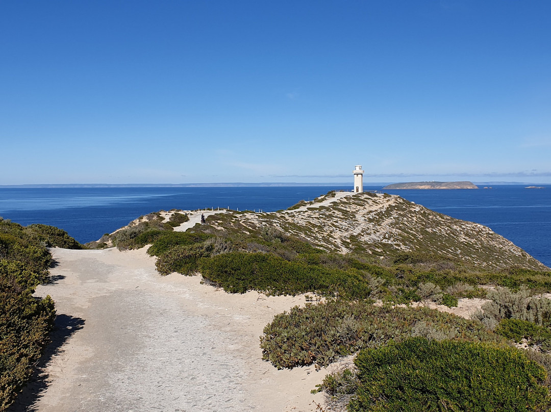 Cape Spencer Lighthouse-Inneston必去景点