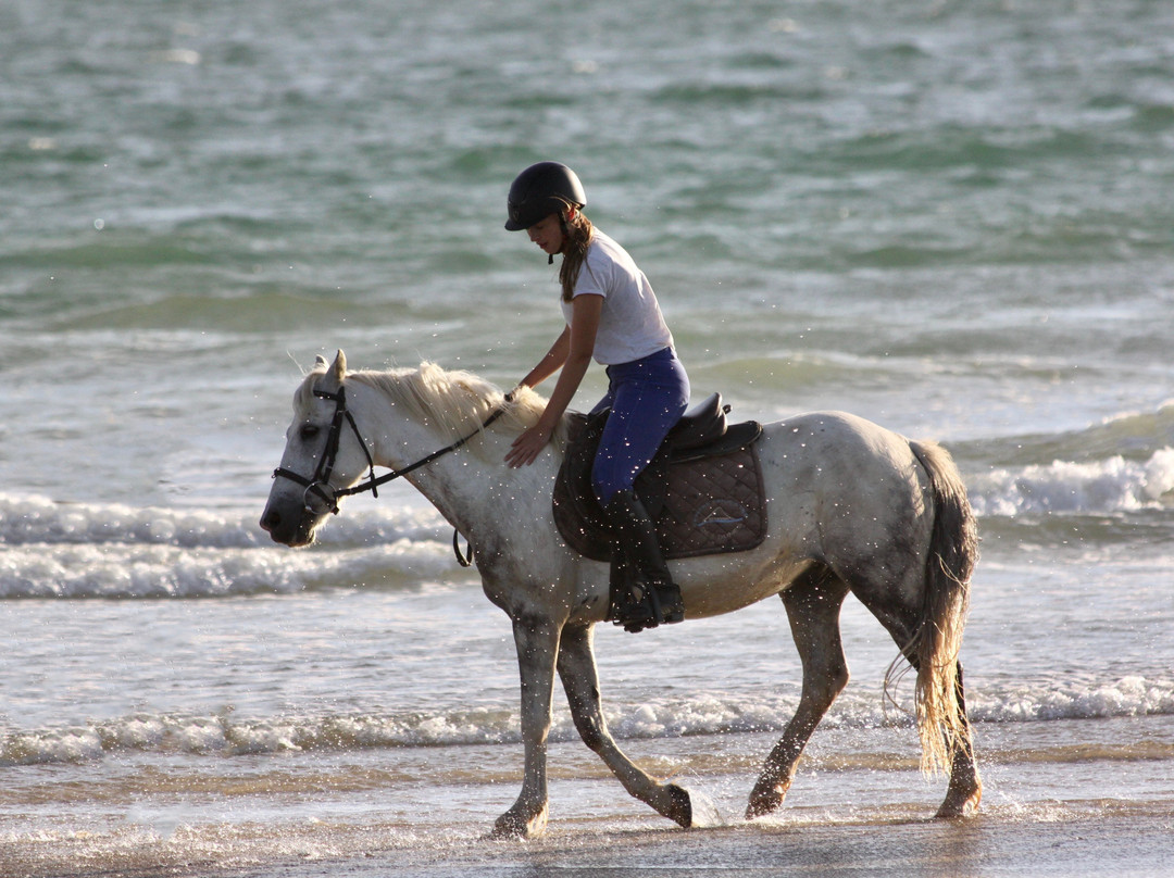 Centre Equestre des Dunes-Erdeven必去景点