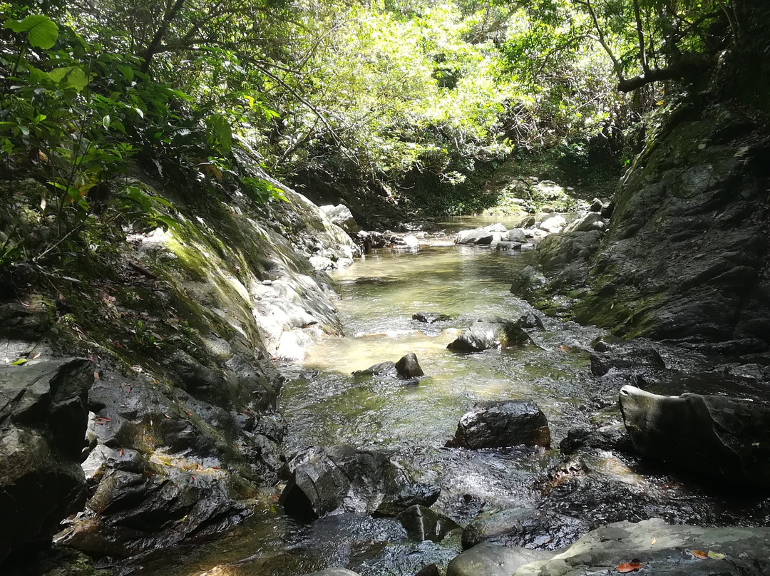 Ta Waterfall景点图片
