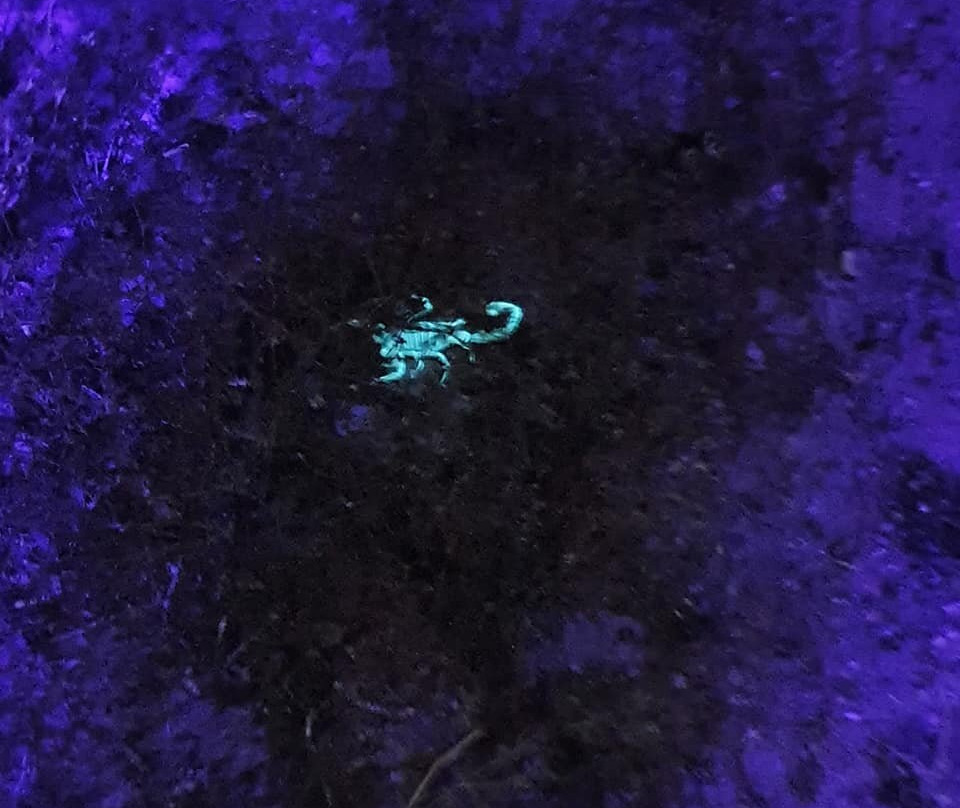 Peimot Midbar-Ein Yahav必去景点