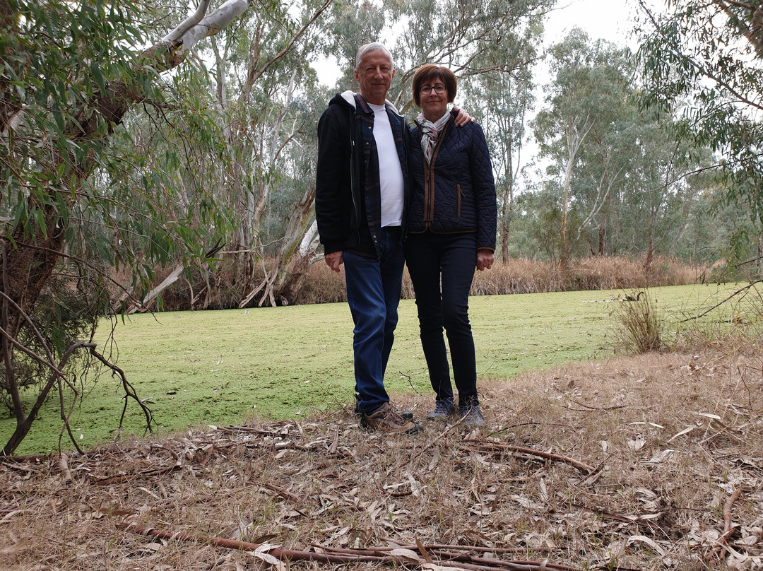 Wonga Wetlands-奥尔伯里必去景点