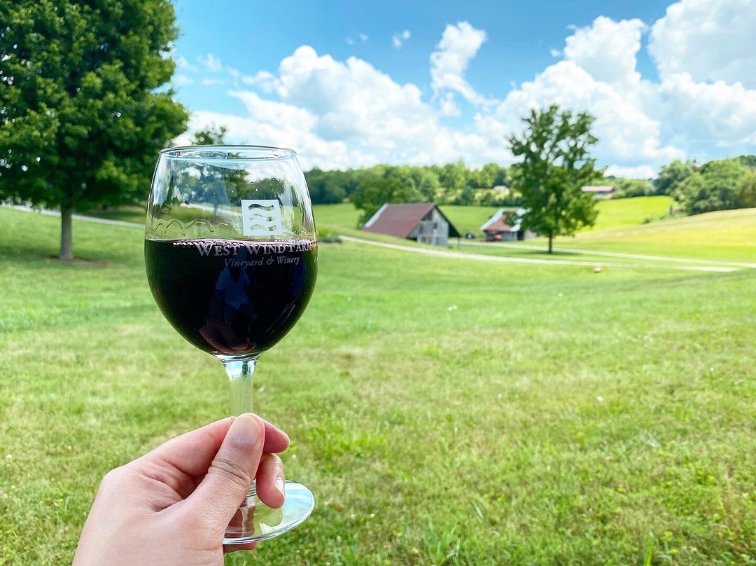 West Wind Farm Vineyard & Winery-Max Meadows必去景点