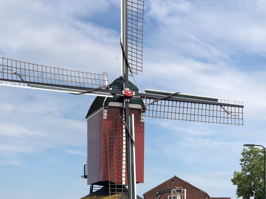 Standerdmolen Sint-Annaland景点图片