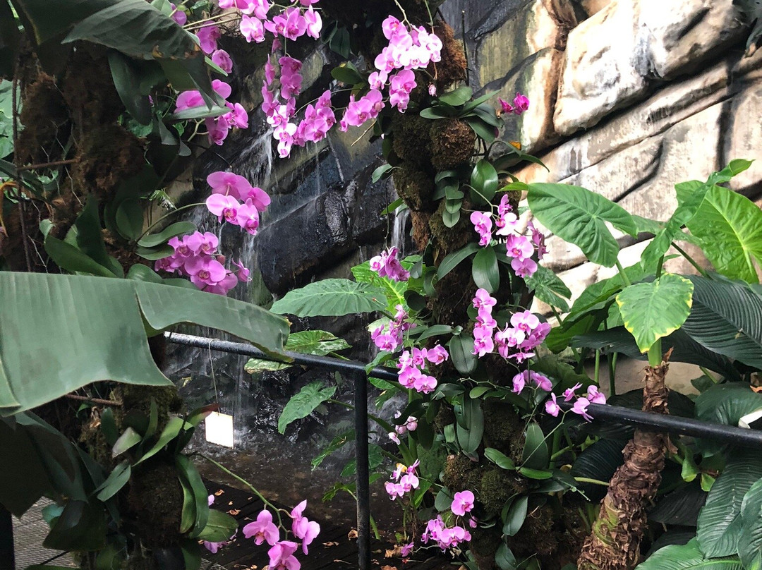Tropical Garden Slovenia景点图片