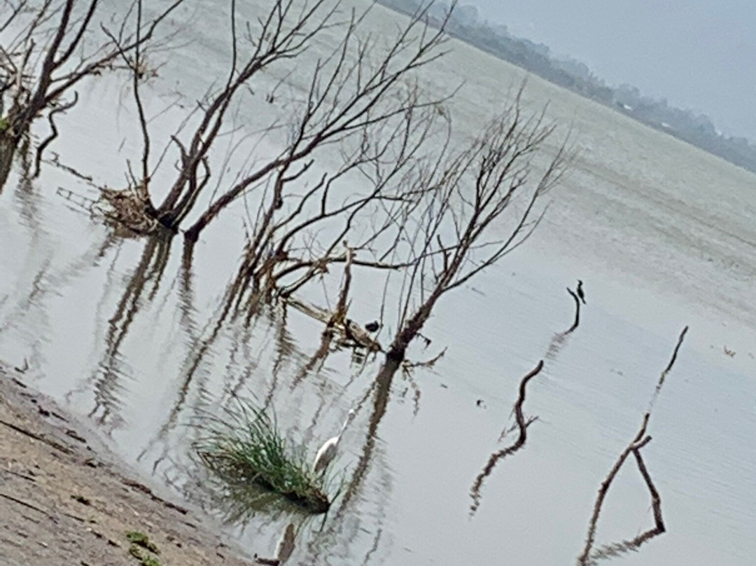 Quinta San Carlos主图