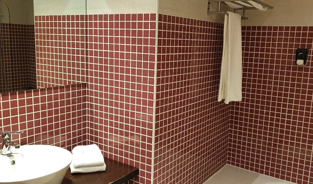 Hotel Plazaola主图