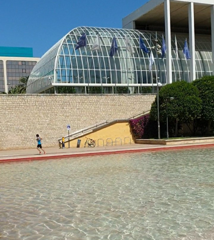 Palacio De La Música De Valencia景点图片