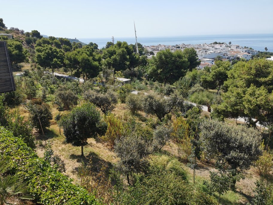 Jardin Botanico Detunda Cueva De Nerja景点图片