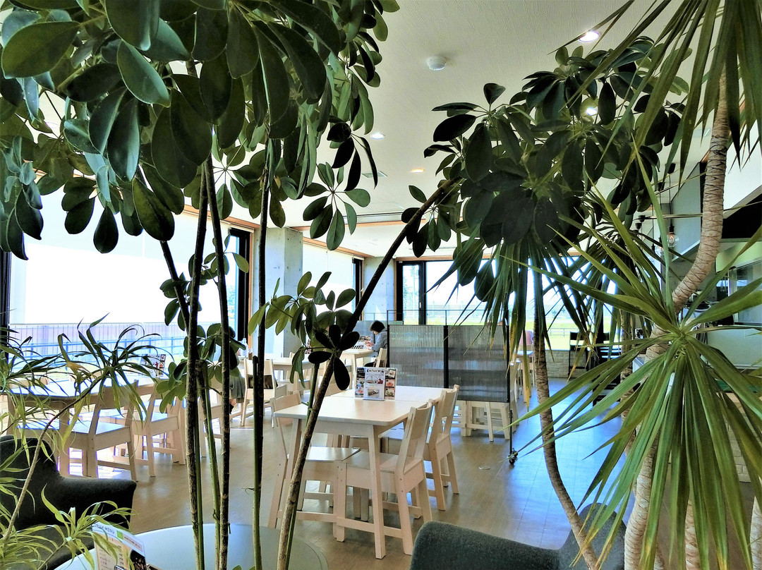 Hokuo no Kaze Michi-no-Eki Tobetsu-当别町必去景点