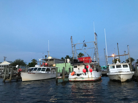 Matlacha Boat Rides and Rentals-Matlacha必去景点