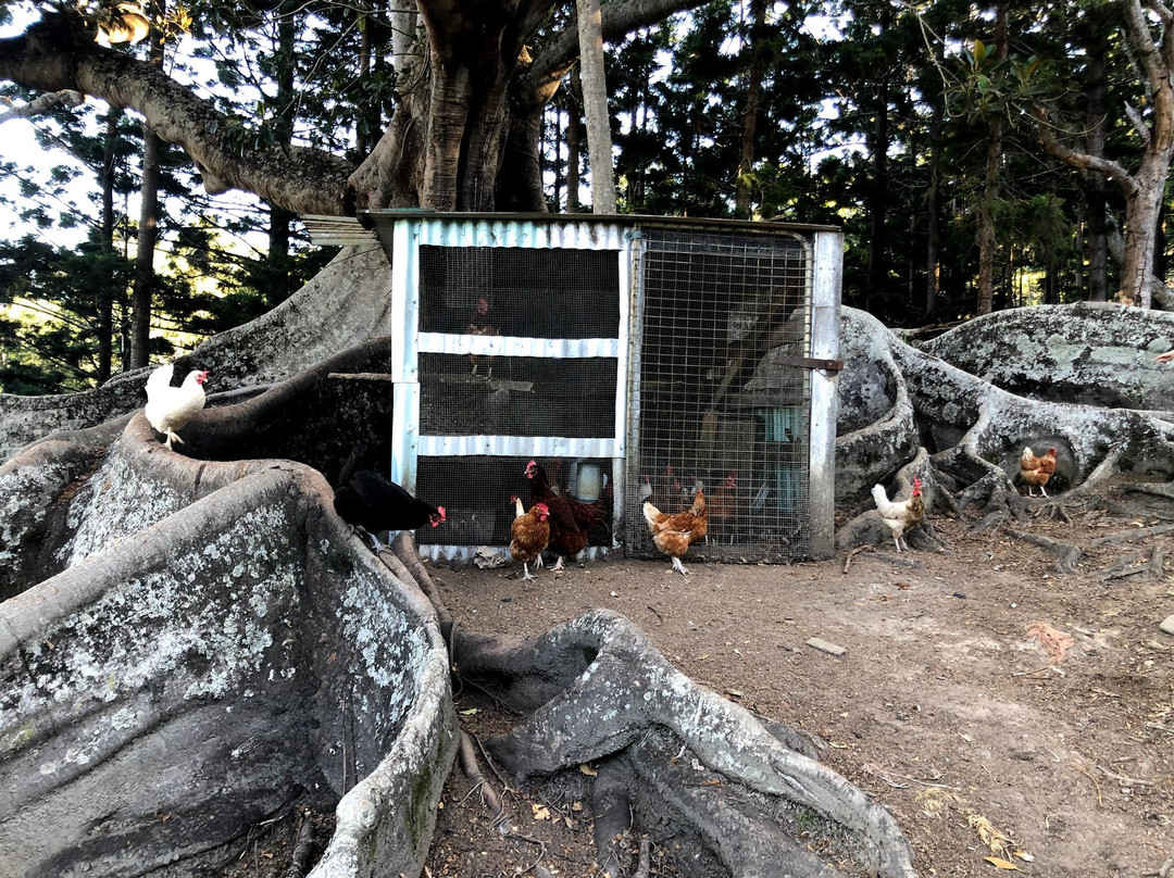 Ingleside Stud Farm主图