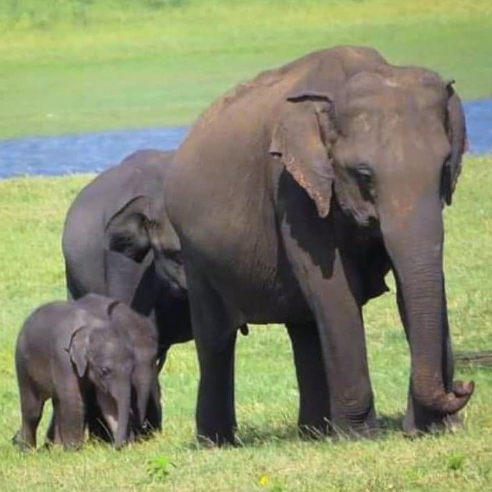 Unseenlanka Tours-加勒必去景点