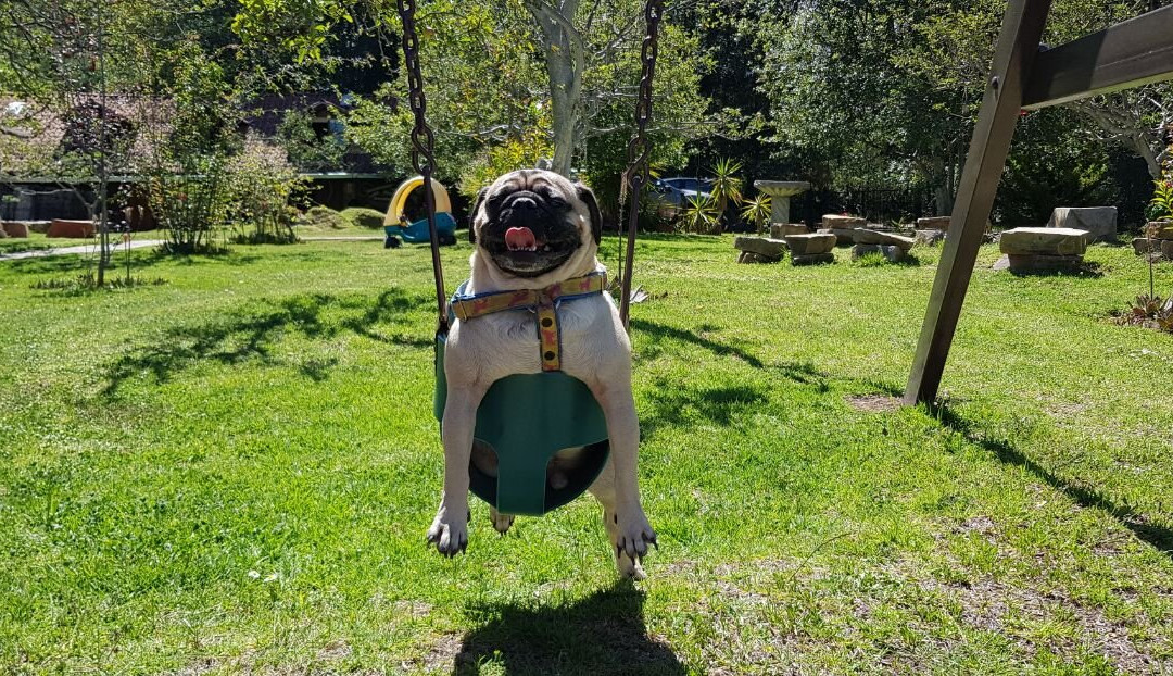 Cabanas El Refugio主图