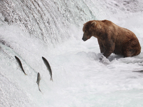 Adventure Airways-荷马必去景点