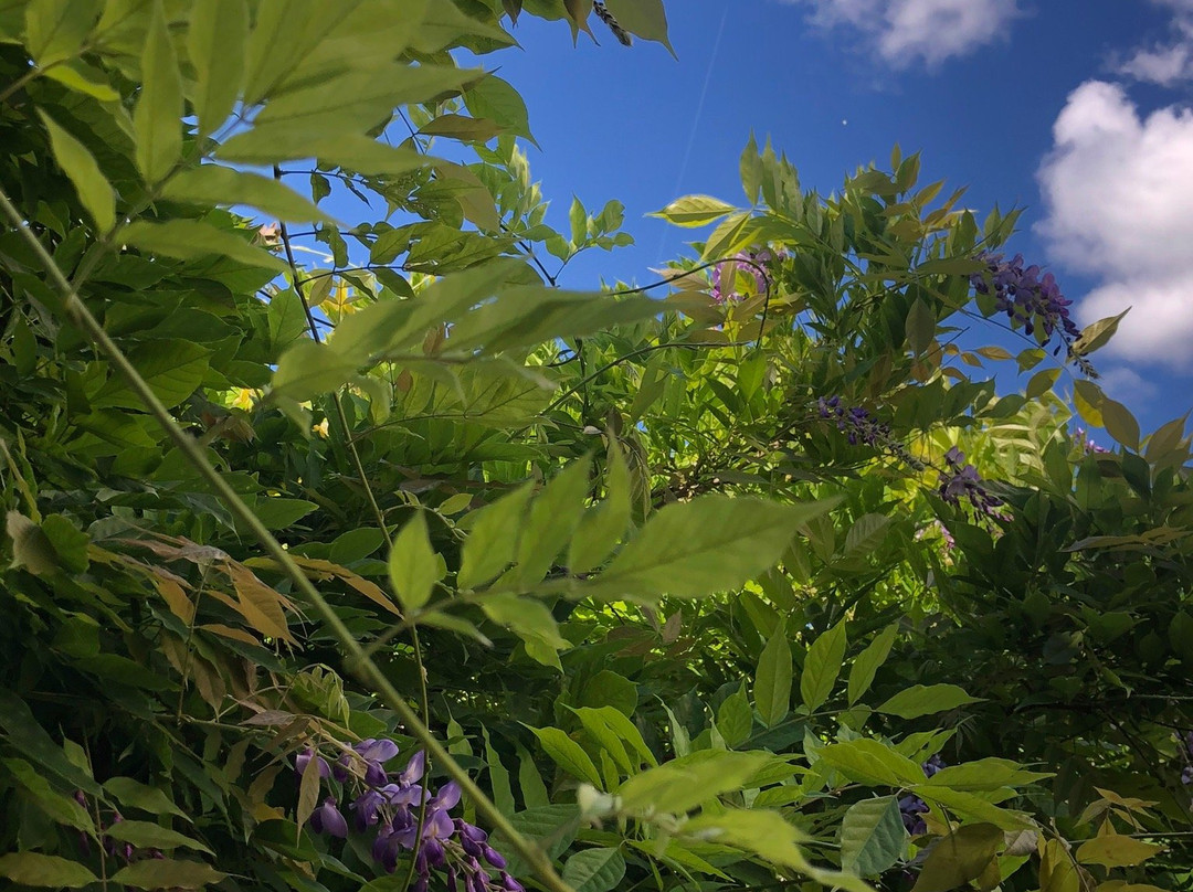 Residence Florimontane主图