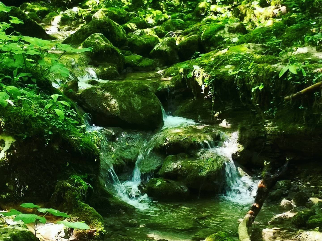 Cascate Kot景点图片