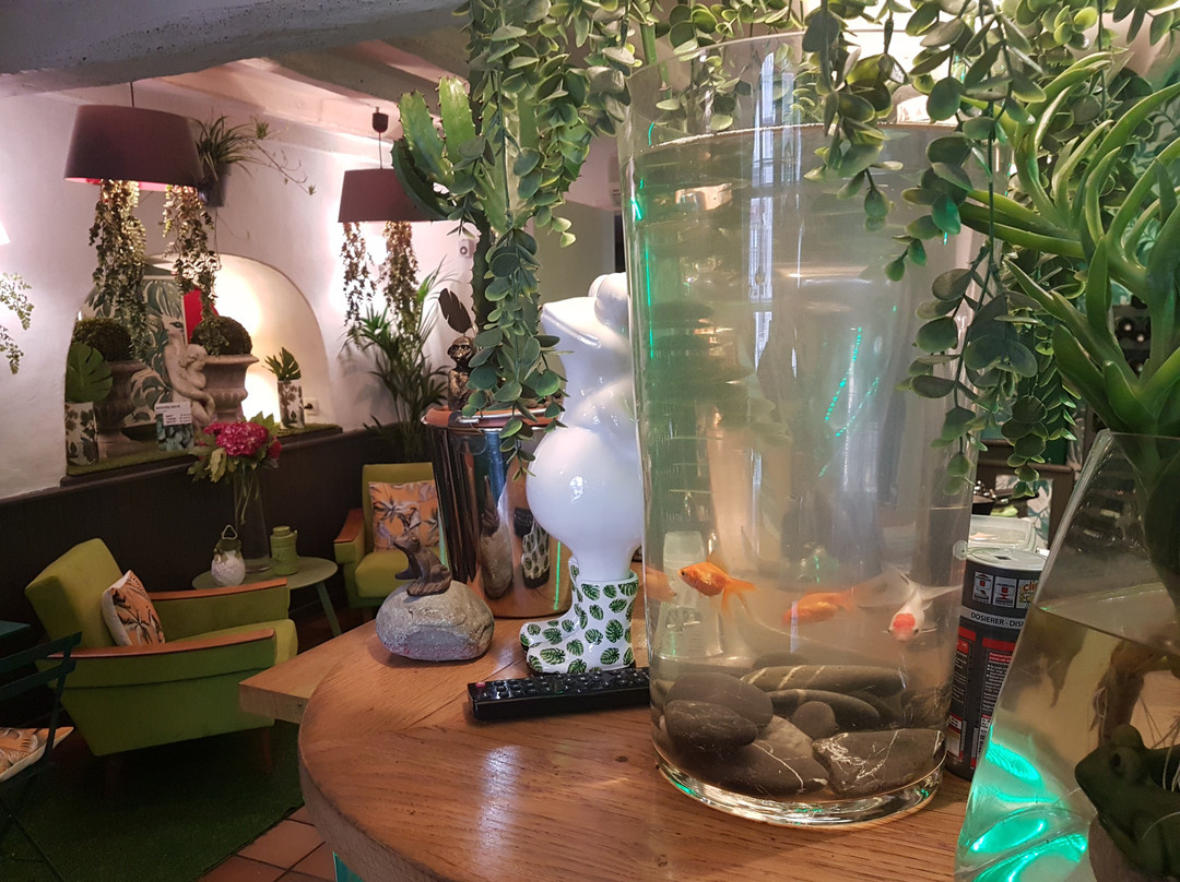 Auberge Chez Maite主图