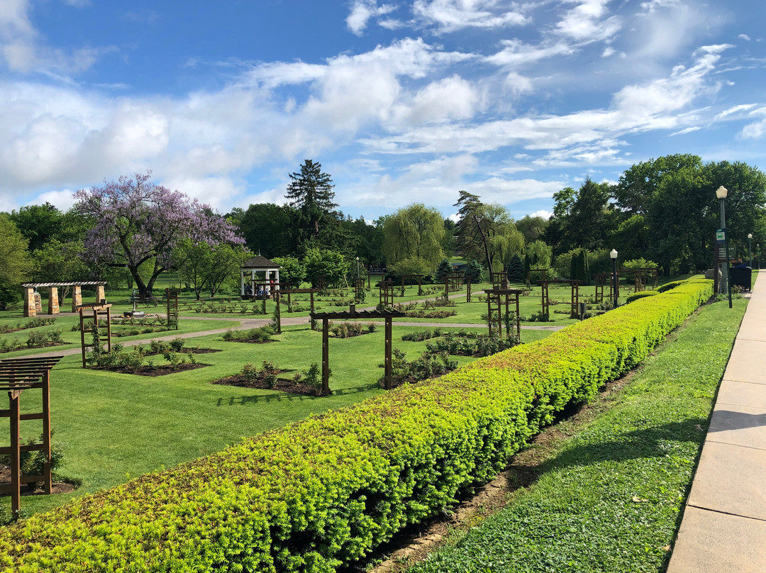 Allentown Rose Gardens景点图片