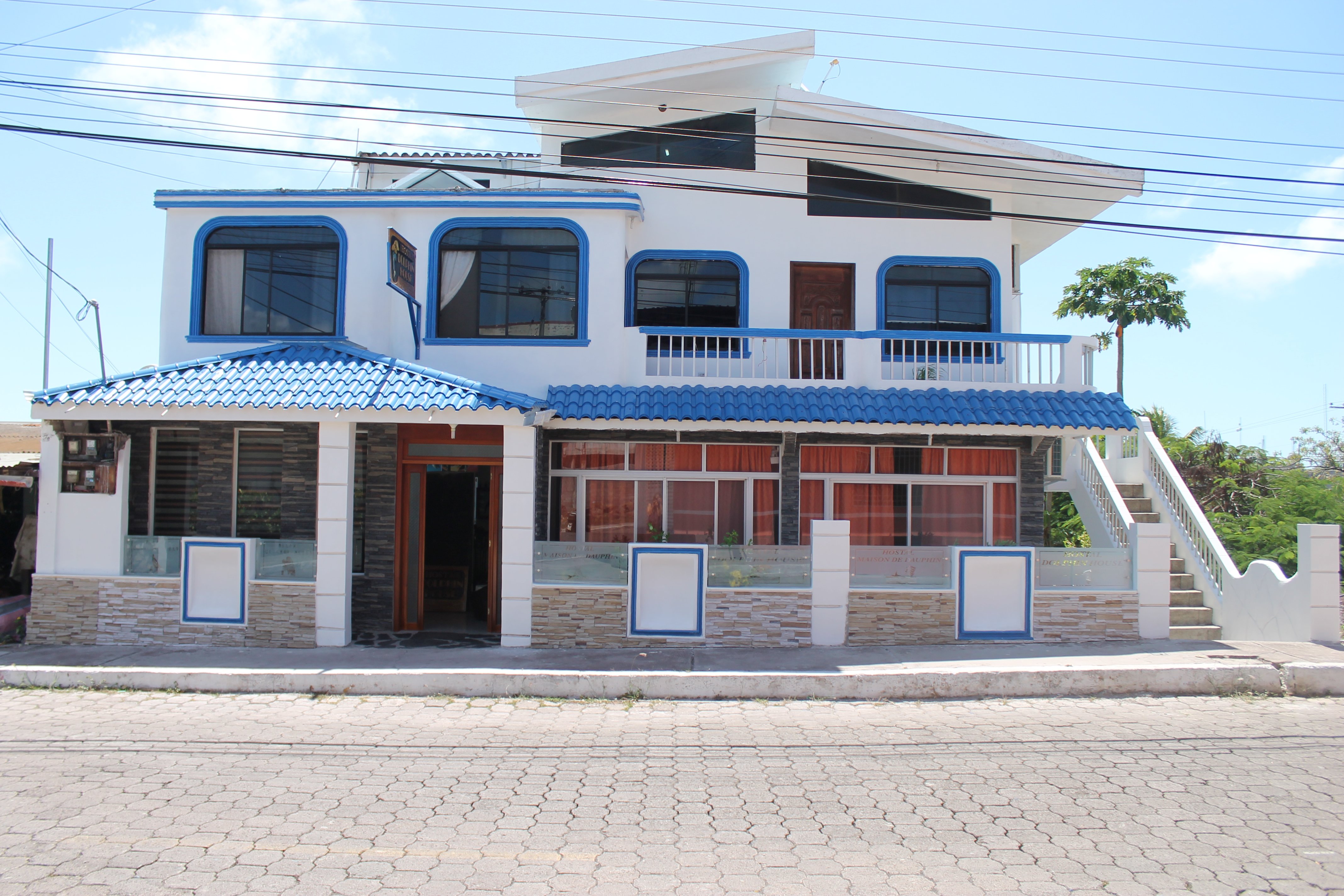 Dolphin House Hostal-官方