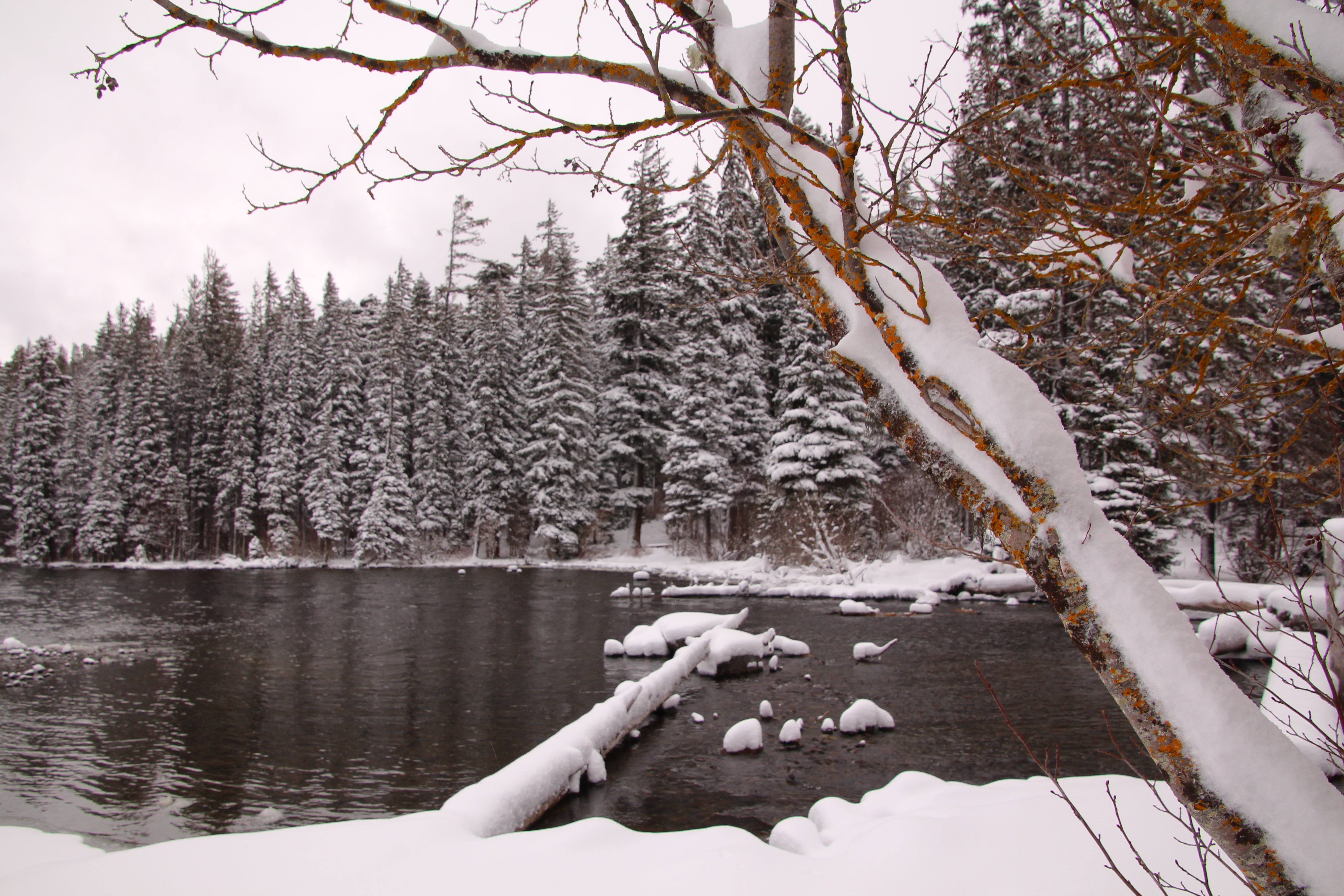 Odell Lake Lodge & Resort-浴室
