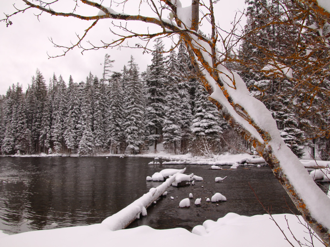 Odell Lake Lodge & Resort主图