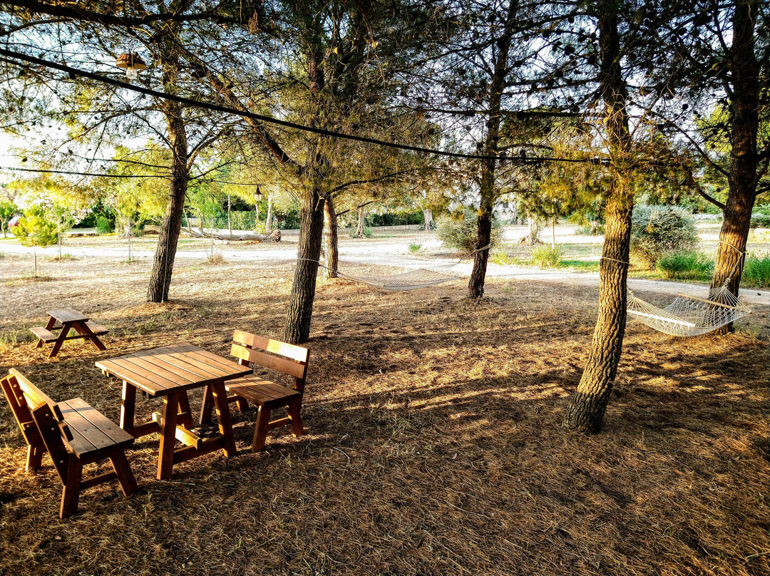 Trepuzzi酒店住宿-B&B Villa delle Palme