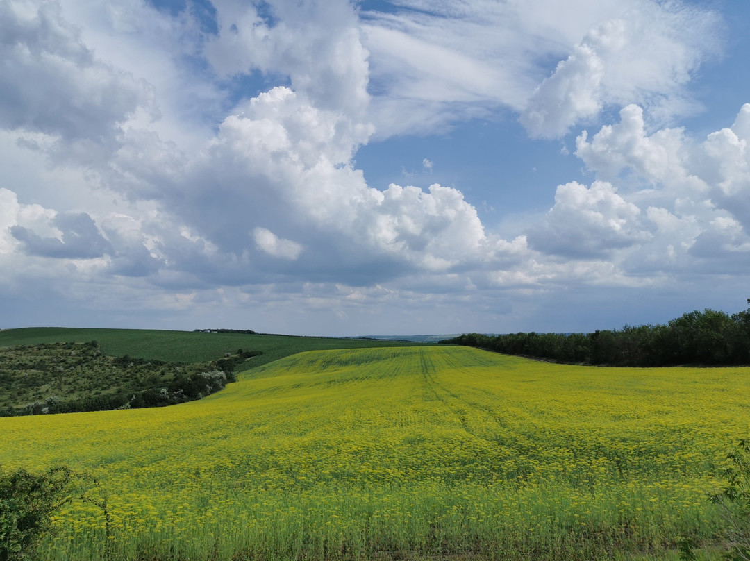 Piligrim Moldova-基希讷乌必去景点