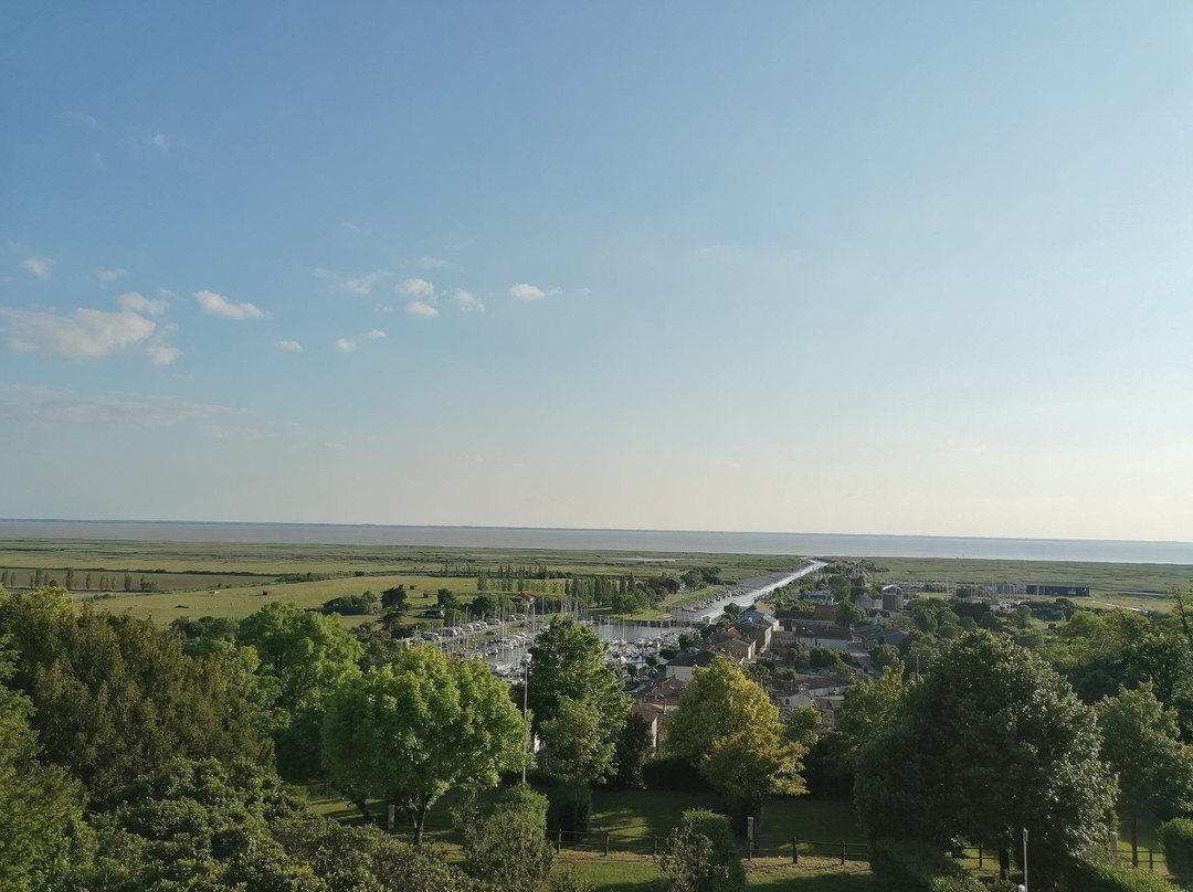 Le Petit Radieux主图