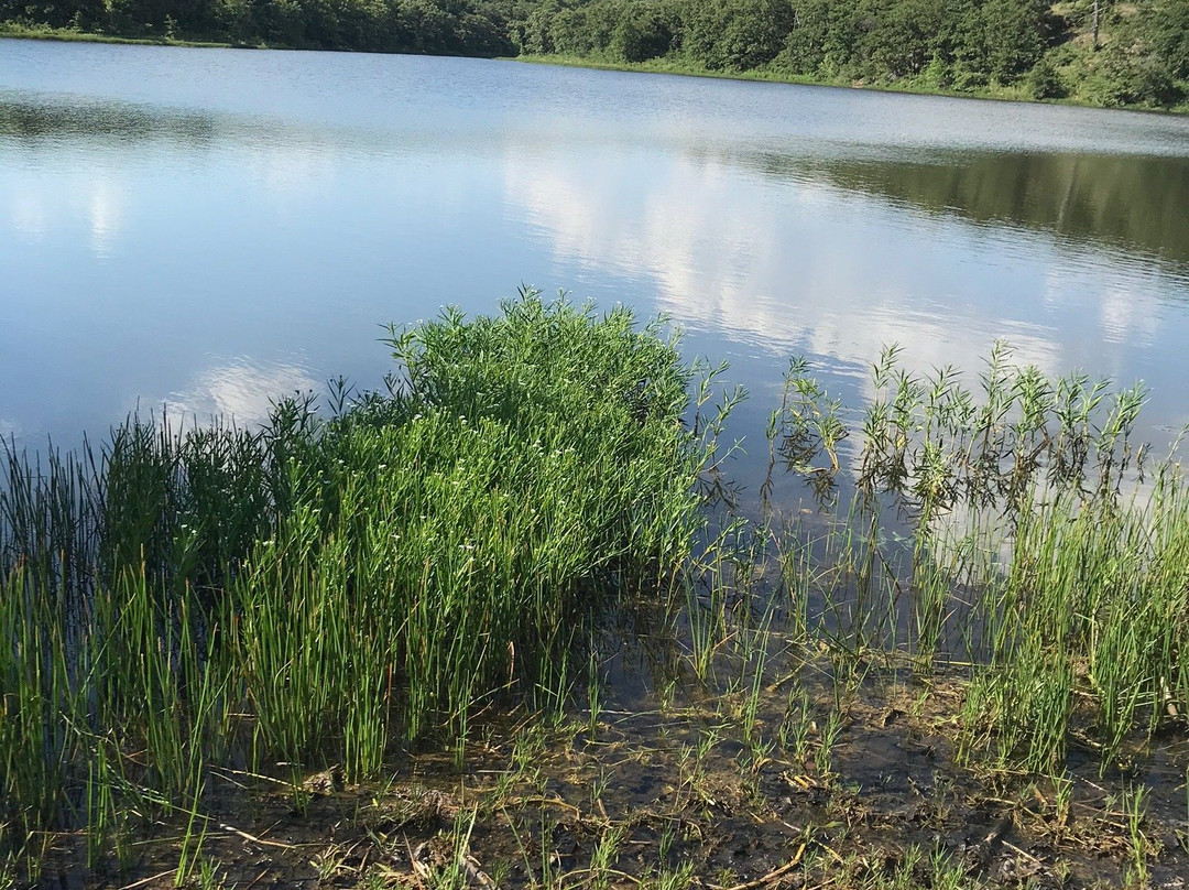 Osage Hills State Park-Pawhuska必去景点