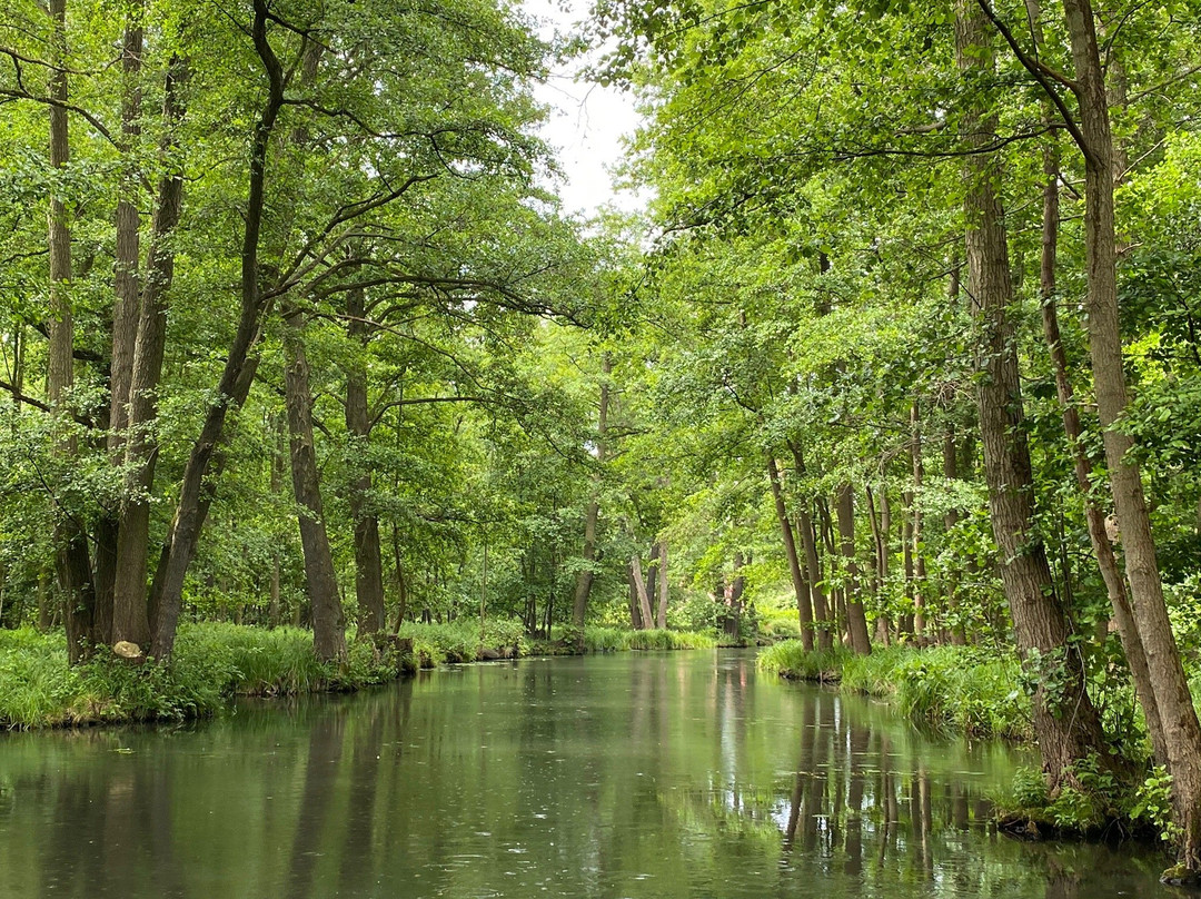 Kais Spreewald Kahnfahrten景点图片