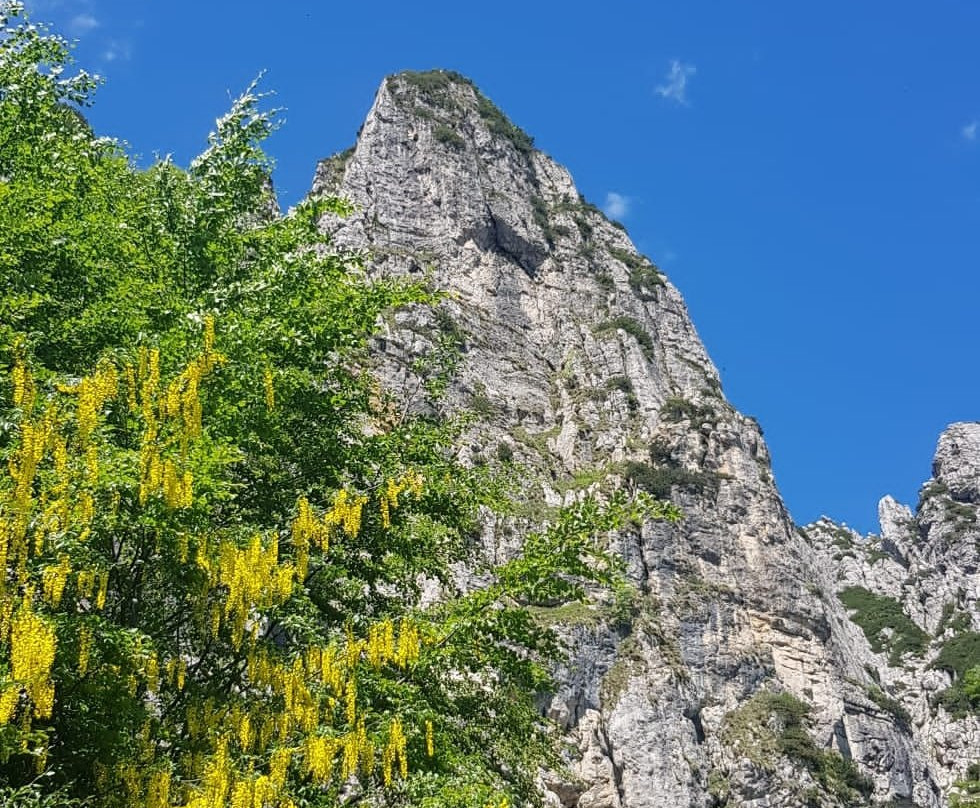 Giro delle Malghe – Campogrosso景点图片