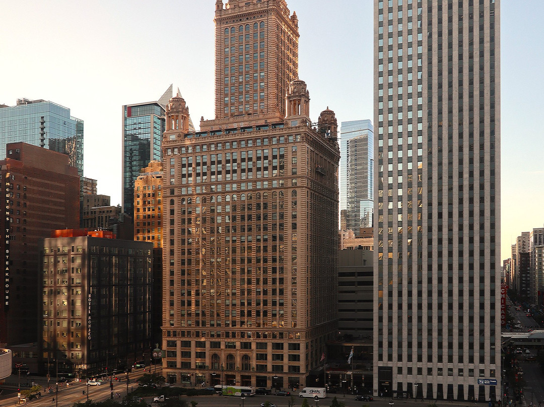 Chicago Skyline景点图片