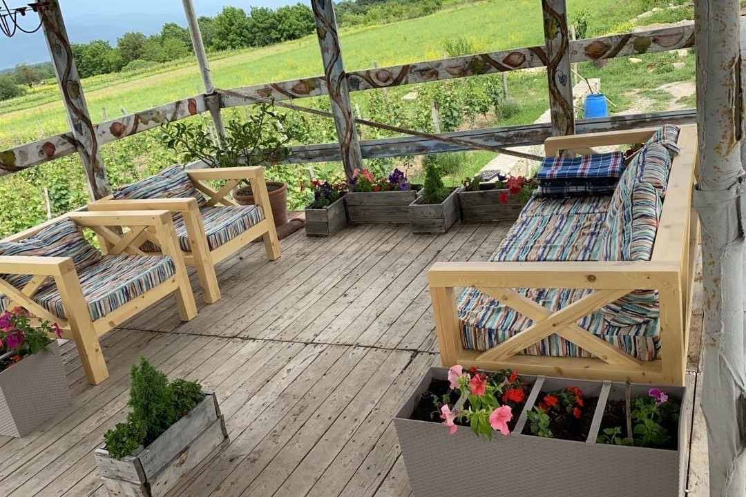 Biodynamic.Ge Ruispiri Biodynamic Vineyard